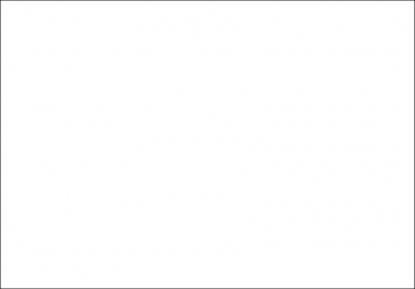 bílá